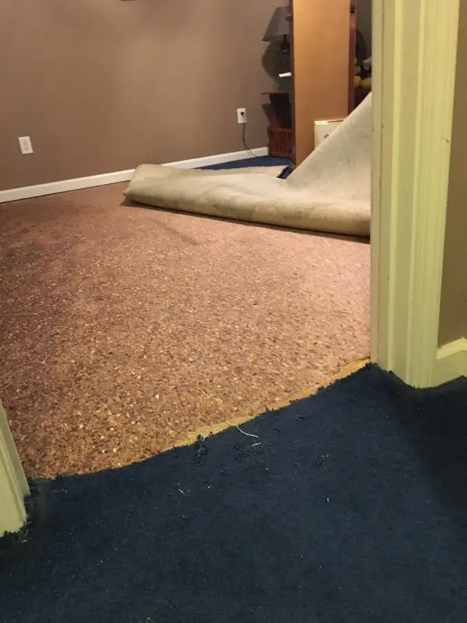 Carpet pad removal revealing water damage during Drying & Dehumidification in The Villages